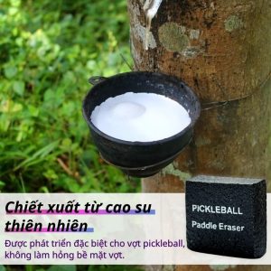 tay-ve-sinh-vot-pickleball (1)-min