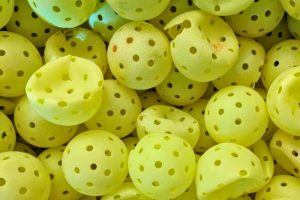 bong-pickleball-cu-min
