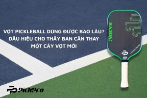 vot-pickleball-dung-duoc-bao-lau-va-khi-nao-thi-can-thay-vot
