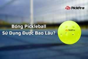 bong-pickleball-su-dung-duoc-bao-lau-min