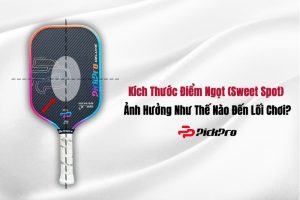 diem-ngot-vot-pickleball-anh-huong-nhu-the-nao-den-tran-dau