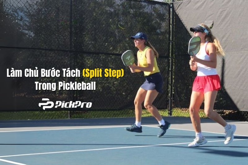 lam-chu-buoc-chia-split-step-trong-pickleball-min