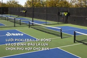luoi-pickleball-di-dong-va-co-dinh-dau-la-lua-chon-phu-hop-cho-ban